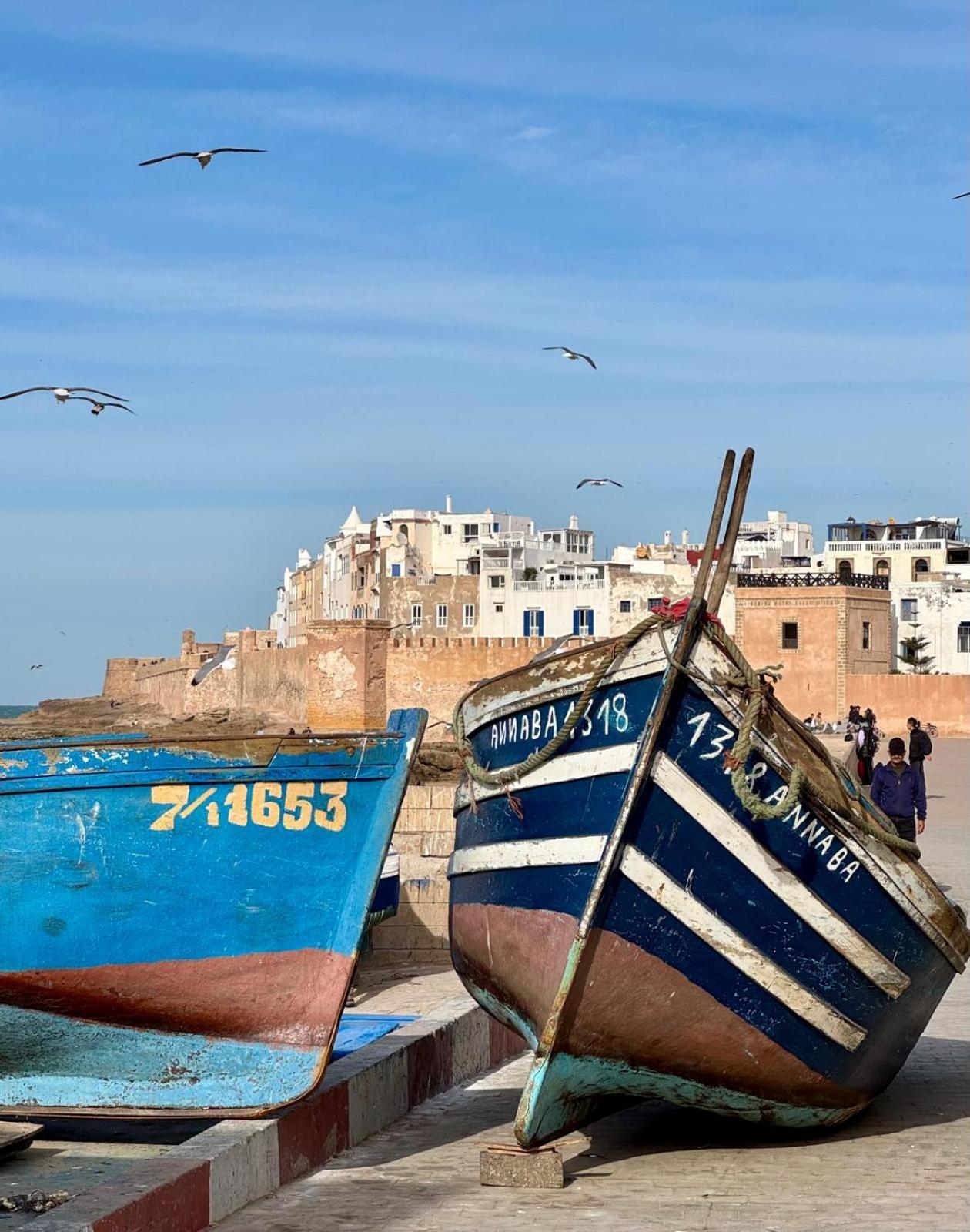 Le Clos De La Roussiere Essaouira Exterior foto